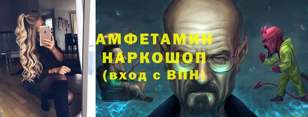 сатива Беломорск