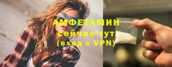 сатива Беломорск