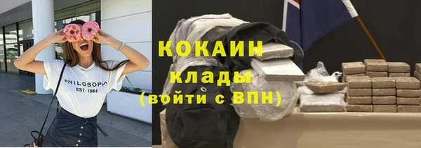 сатива Беломорск