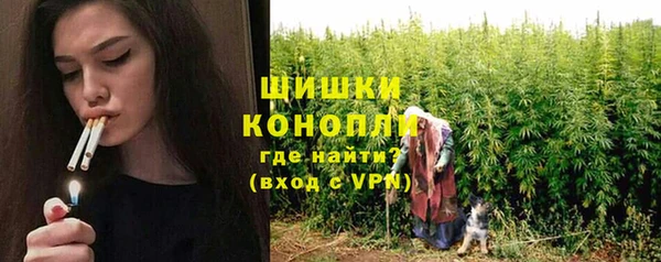 сатива Беломорск