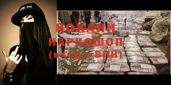 сатива Беломорск