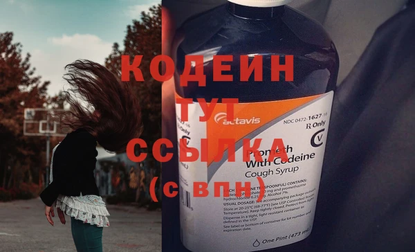 сатива Беломорск