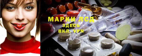 сатива Беломорск
