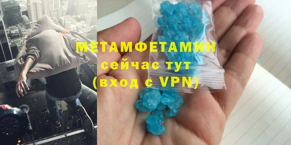 сатива Беломорск