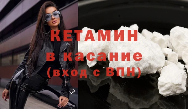 сатива Беломорск