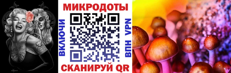 как найти Ершов это официальный сайт Галлюциногенные грибы прущие грибы